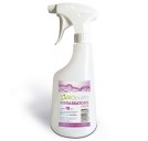 Erboristeria Magentina Dosatore Vuoto per Sgrassatore Menta Bio Pul...