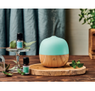 Nasoterapia BERRY Diffusore ad Ultrasuoni per Oli Essenziali