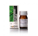 Biokyma Lattoferrina + Acerola 36 capsule vegetali