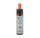 Ainsworths 02 - Aspen 10ml Ainsworths Dr. Bach