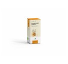 Cordyceps Gheos 90 capsule da 540mg