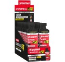 ENERVIT Carbo Gel C2:1PRO Limone con Sodio 24x60ml