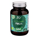 Santiveri Fucus BIO da 113 compresse 60 gr