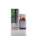 Biokyma Ananas Gambo (Ananas sativus L) da 70 capsule