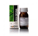 Biokyma Uva Orsina (Arctostaphylos uva-ursi L.) 70 capsule da 380mg