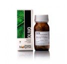 Biokyma Olivo (Olea europea L.) 70 capsule da 300mg
