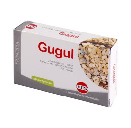 1 - Gugul estratto secco 60 compresse