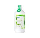 1 - Aloe Vera Succo Puro 1000ml
