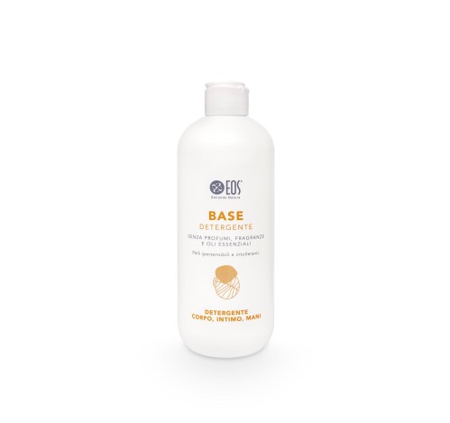 1 - Base Detergente 500ml
