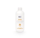 1 - Base Detergente 500ml