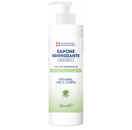 SAPONE IGIENIZZANTE LIQUIDO 250ml
