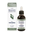 FICUS CARICA Macerato Gemmoderivato Magentina 50ml